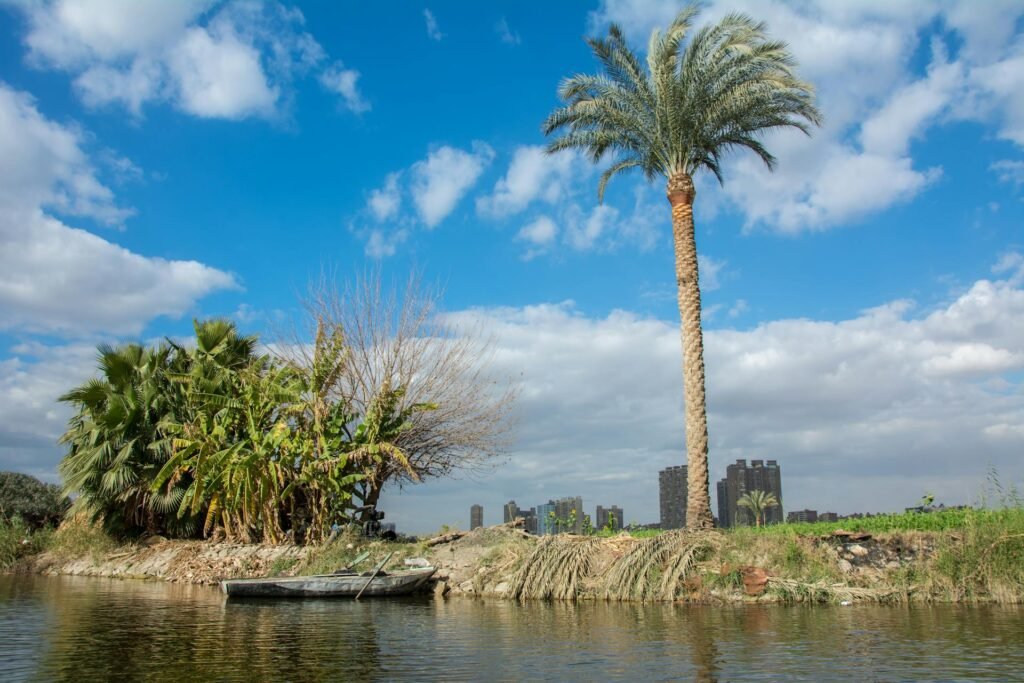 Pexels Ezz7 11044708